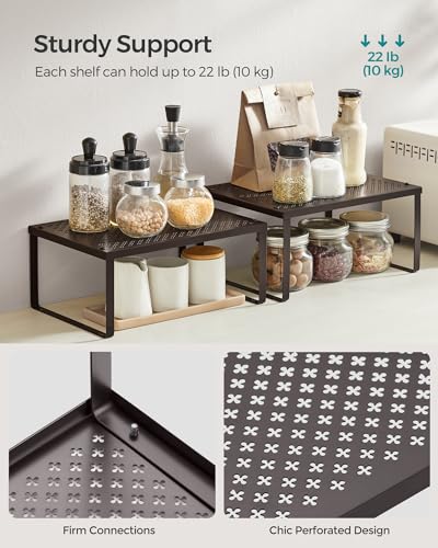 Set of 2 Metal Spice Racks (2 Count)