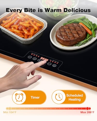 Electric Warming Tray