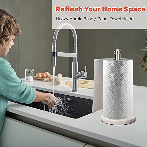 Heavy Weighted Paper Towel Holder