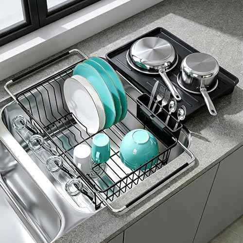 Black Dish Drying Rack in Sink with Drainboard and Utensil Holder