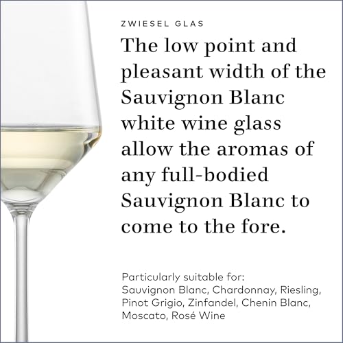 Pure Sauvignon Blanc White Wine Glass (2 Count)