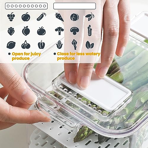 Fresh Produce Saver for Refrigerator (3 Count)