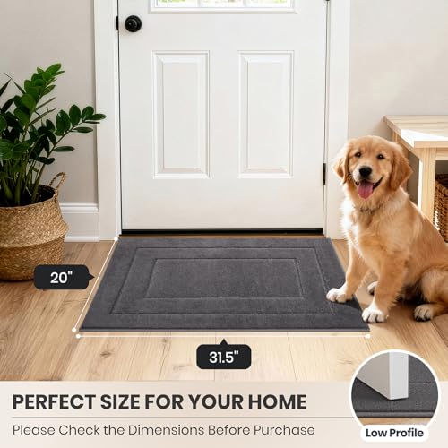 Dirt Trapping Door Mat Indoor Entrance