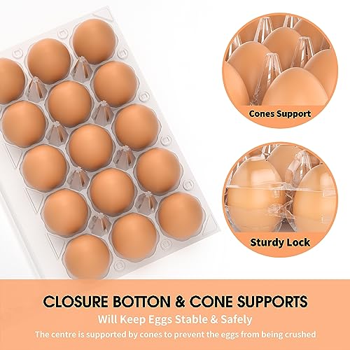 Egg Cartons Cheap Bulk 100 Pack (100 Count)
