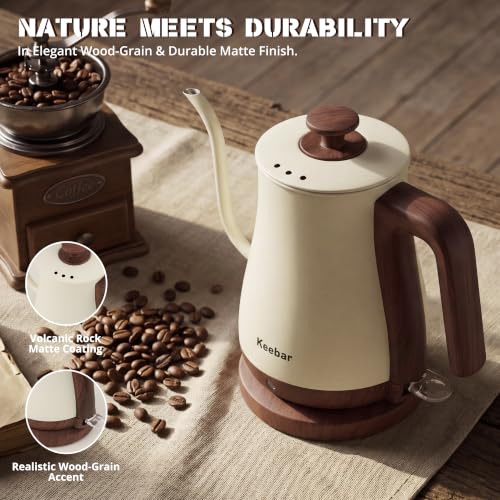 Gooseneck Electric Kettle