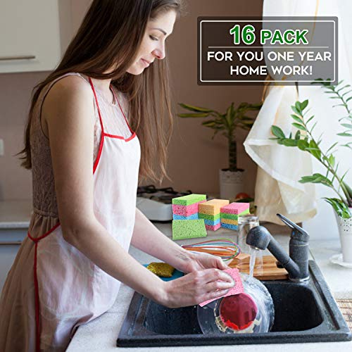 Cleaning Scrub Colored Sponge (16 Count)