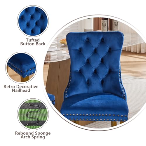 Blue Velvet Dining Chairs Set of 2 (2 Count)