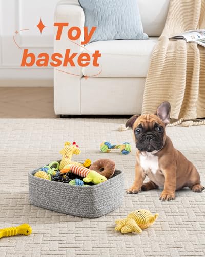 Small Woven Storage Basket for Organizing (3 Count)