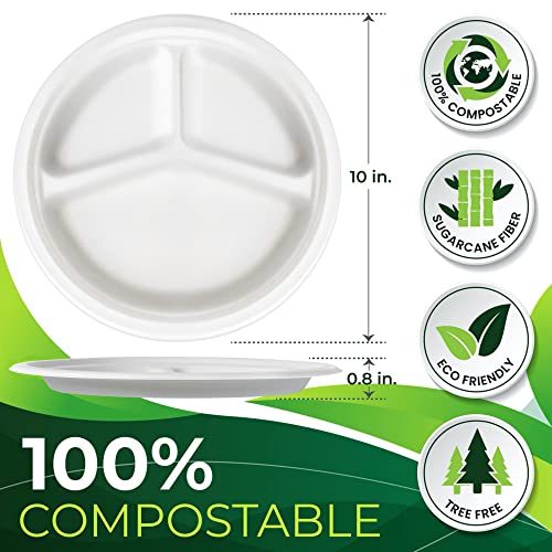 100PCS 100% Compostable 10in Paper Plates (150 Count)