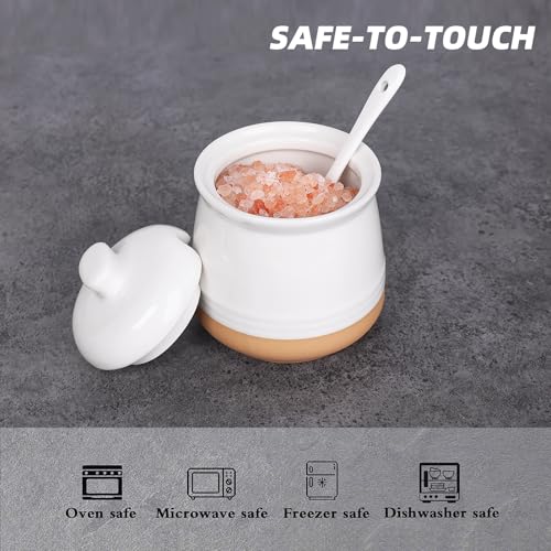 Sugar Bowl with Lid and Spoon 12oz Ceramic Sugar jar
