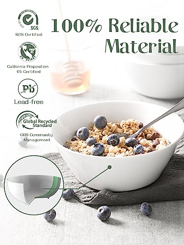 32 OZ Large Soup Bowls Set of 4 (4 Count)