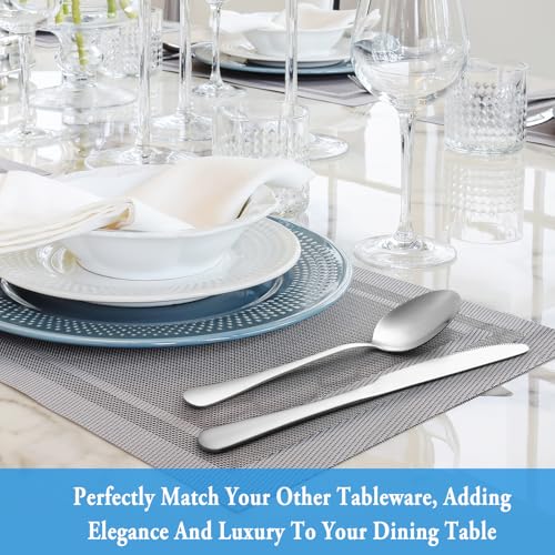 24 Pcs Dinner Spoon Set (24 Count)