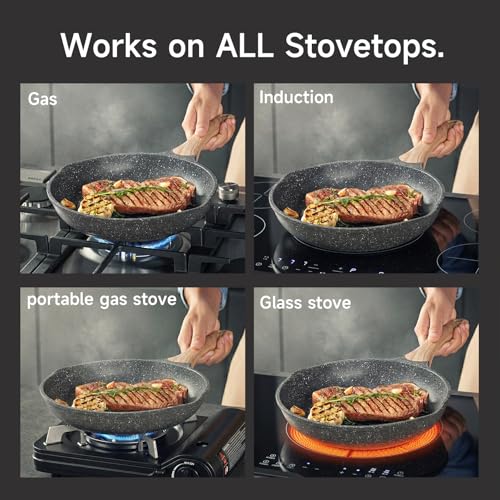 9.5 Inch Nonstick Frying Pan Skillet with Dual Spouts Omelet Egg Pan