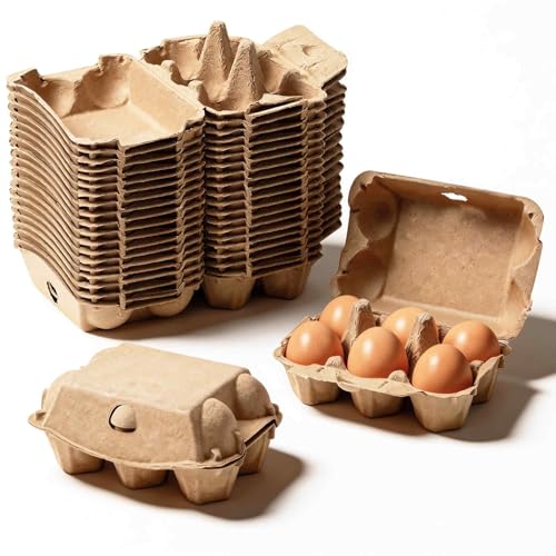 20 Pack Egg Cartons Cheap Bulk (20 Count)