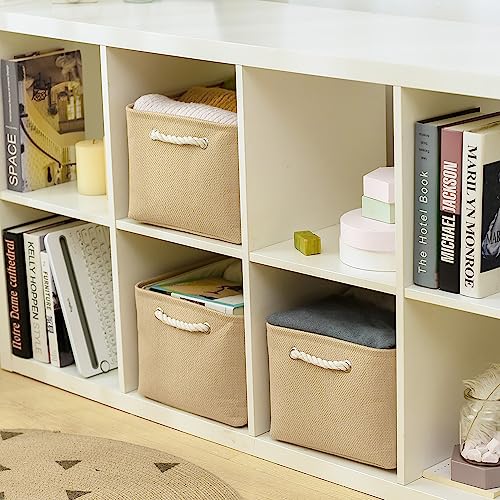 Organization and Storage Bin for Shelves (3 Count)