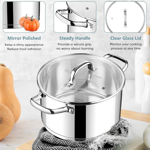 4 Quart Stock Pot with Lid