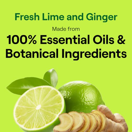 Dish Soap Fresh Lime & Ginger Scent 1 count Dishwashing Soap Dish Detergent Liquid Soap 19 oz (19 Fl Oz)