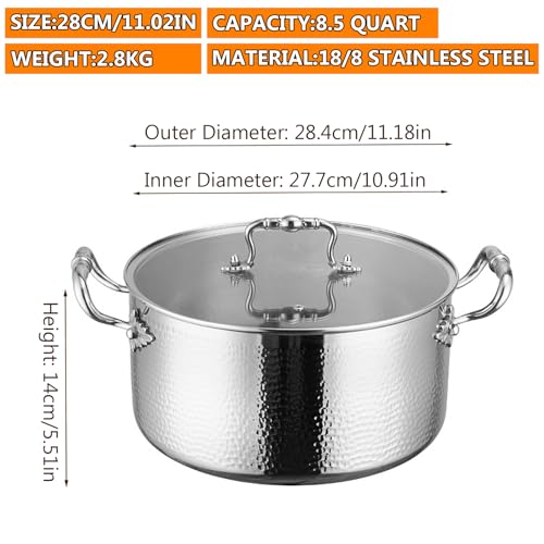 Stainless Steel Stock Pot with Visible Lid for Pasta