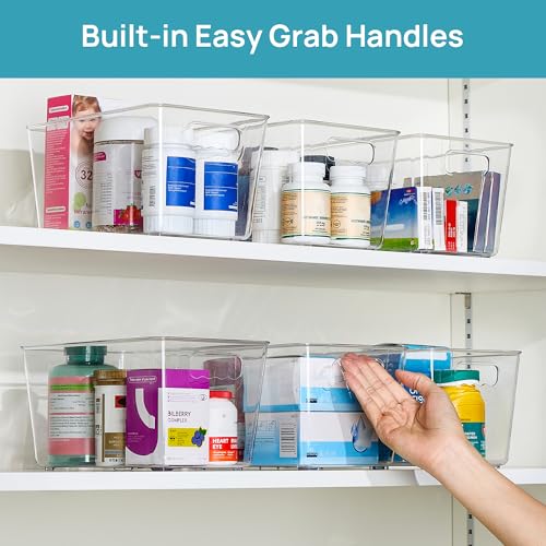 6 Pack Clear Storage Bins (6 Count)