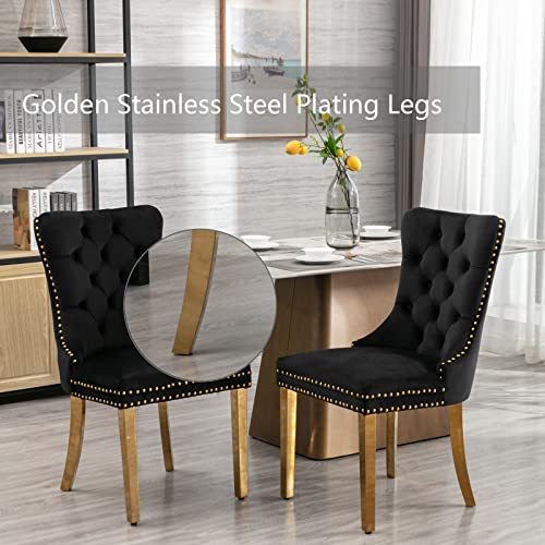 Black and Gold Velvet Dining Chairs Set of 2 (2 Count)