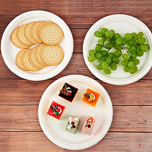 150 Pack Compostable Disposable Paper Plates 10.25 inch Super Strong Paper Plates 100% Bagasse Natural Biodegradable Eco (150 Count)