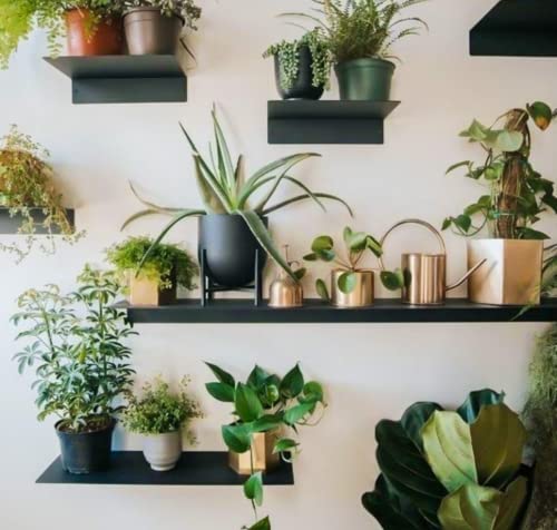Linear Floating Shelf