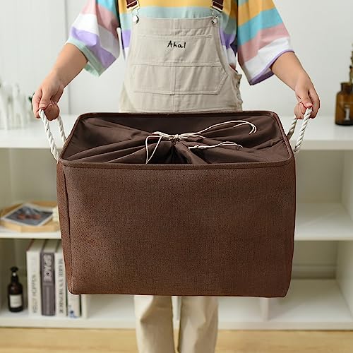 Organization and Storage for Organizing (3 Count)