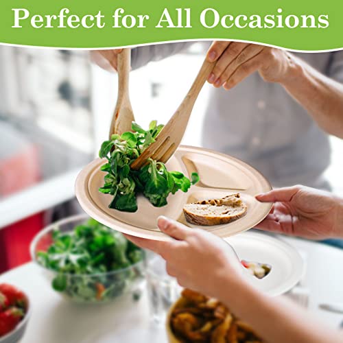 9 Inch Compartment Paper Plates (50 Count)
