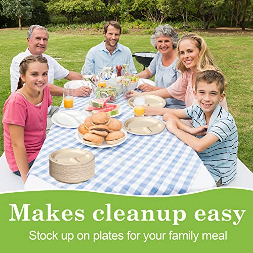 9 Inch Compartment Paper Plates (50 Count)