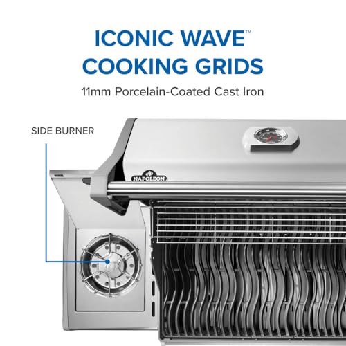 Rogue 525 4 Burner Natural Gas Grill with Range Side Burner