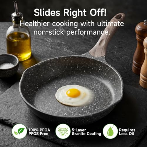 11 Inch Nonstick Frying Pan Skillet with Dual Spouts Cooking Pan