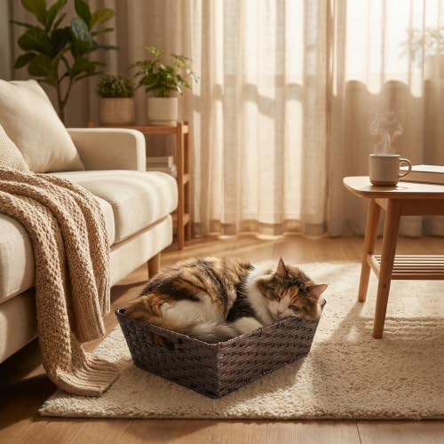Large 2 Pack Plastic Wicker Storage Baskets (2 Count)
