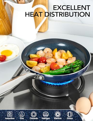 Large Frying Pan with Lid