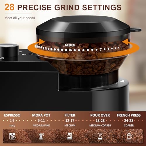 Electric Burr Coffee Grinder