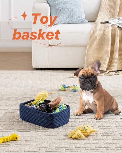 Small Woven Storage Basket for Organizing (3 Count)