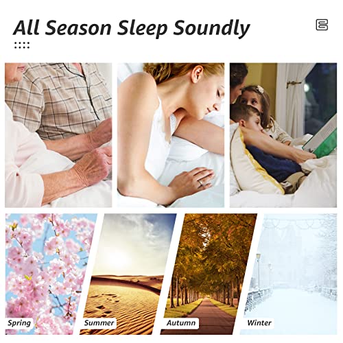 All Season Twin Size Bed Comforter