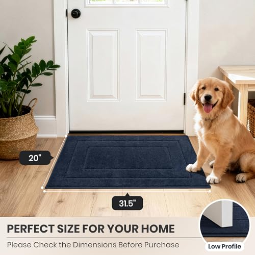 Dirt Trapping Door Mat Indoor Entrance (4.375 Sq Ft)