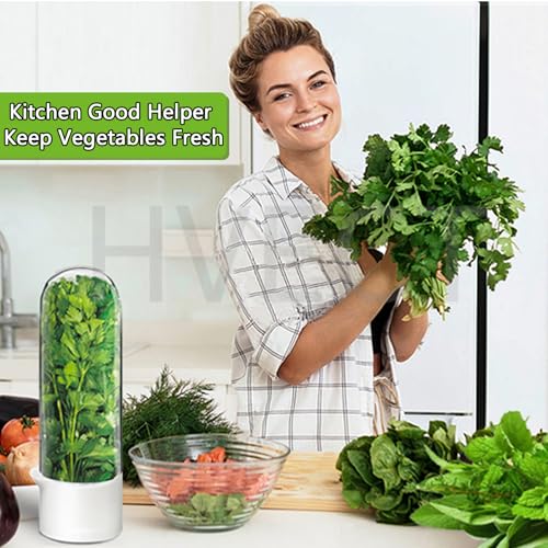 Herb Saver for Refrigerator (3 Count)