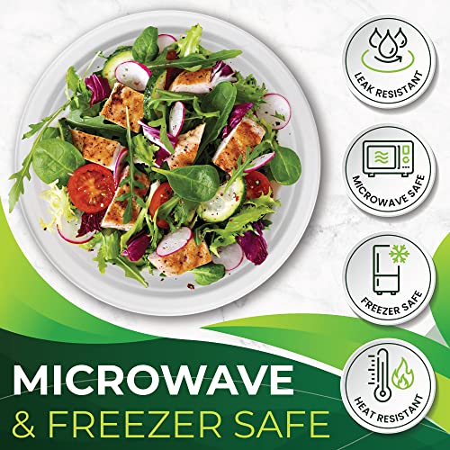 150pcs 100% Compostable Paper Plates (150 Count)