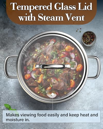6 Quart Tri Ply Clad Stainless Steel Stockpot with Glass Lid