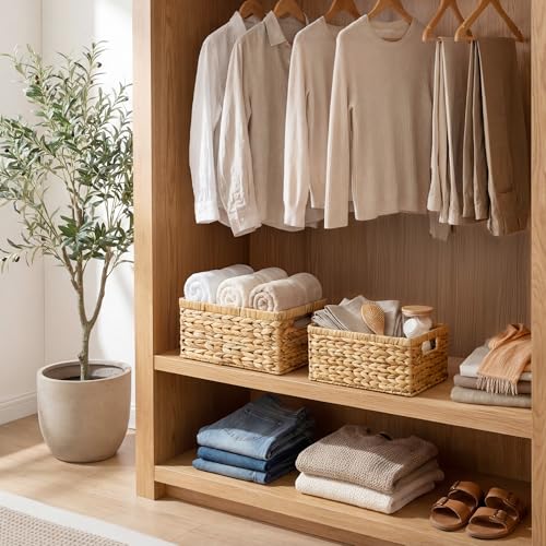 Wicker Storage Baskets for Shelves (2 Count)