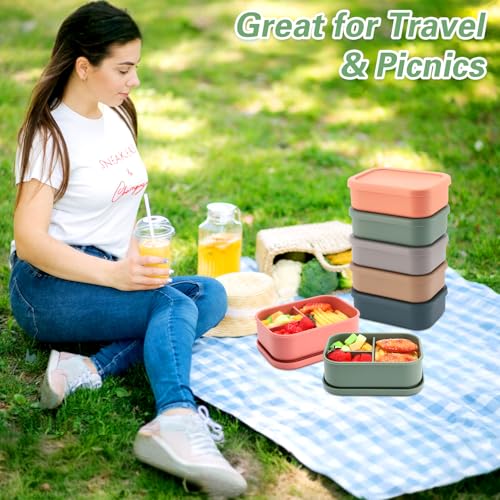 6 Pcs Silicone Bento Box (6 Count)