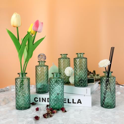 Glass Bud Vase (6 Count)