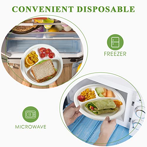 Compostable Paper Plates (150 Count)