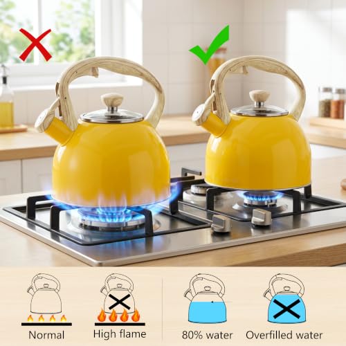 Whistling Tea Kettle for Stove Top