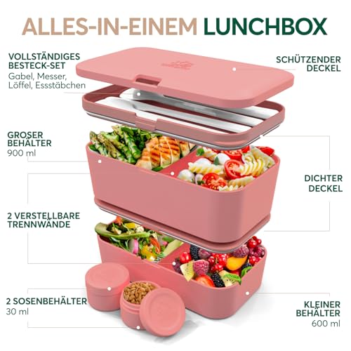 Lunch Box Containers w