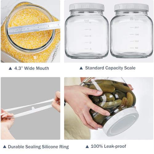 0.8Gal Glass Jar with Lid (2 Count)