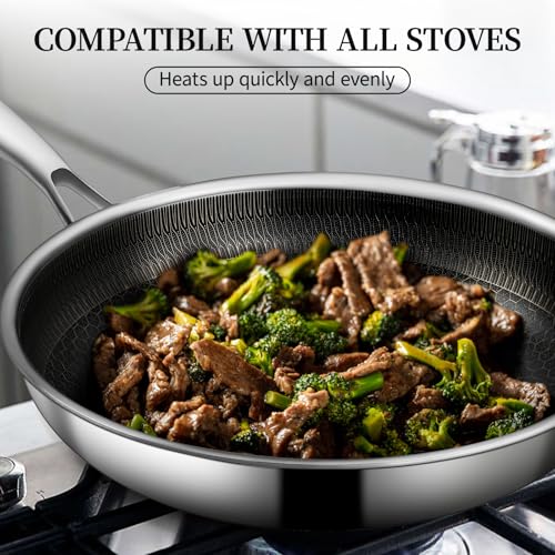 11" Stainless Steel Frying Pan with Lid