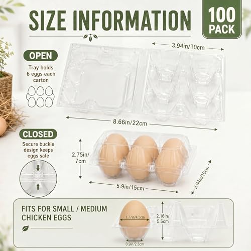 100 Pack Egg Cartons 6 Count (100 Count)
