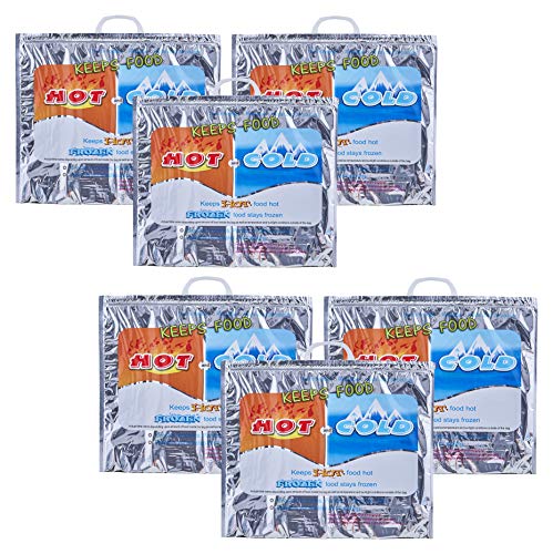 Hot and Cold Insulated Bags for Food Delivery (6 Count)